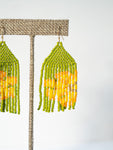 Aloha Aina earrings
