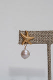 Sea Star Grace Stud