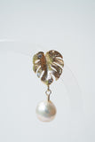 Golden Monstera Muse Stud