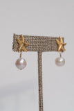 Sea Star Grace Stud